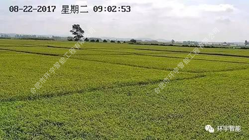 1733278497468616.png 圖片 9.png