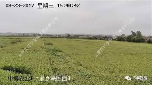 1733278520248637.png 圖片 13.png