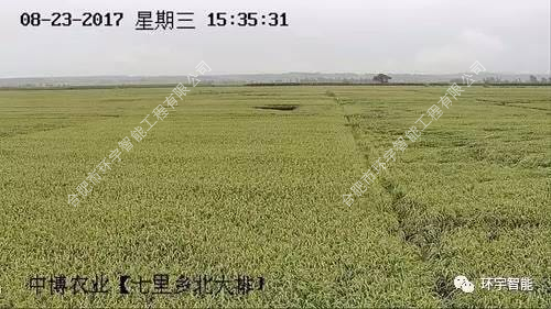 1733278530942568.png 圖片 15.png