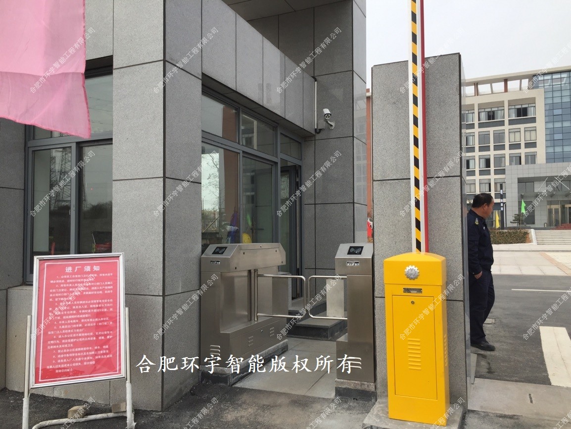 1733303519954229.jpg 4.jpg